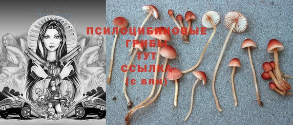 apvp Володарск